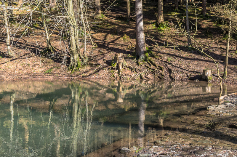 2022_02_23-13_26_17_10