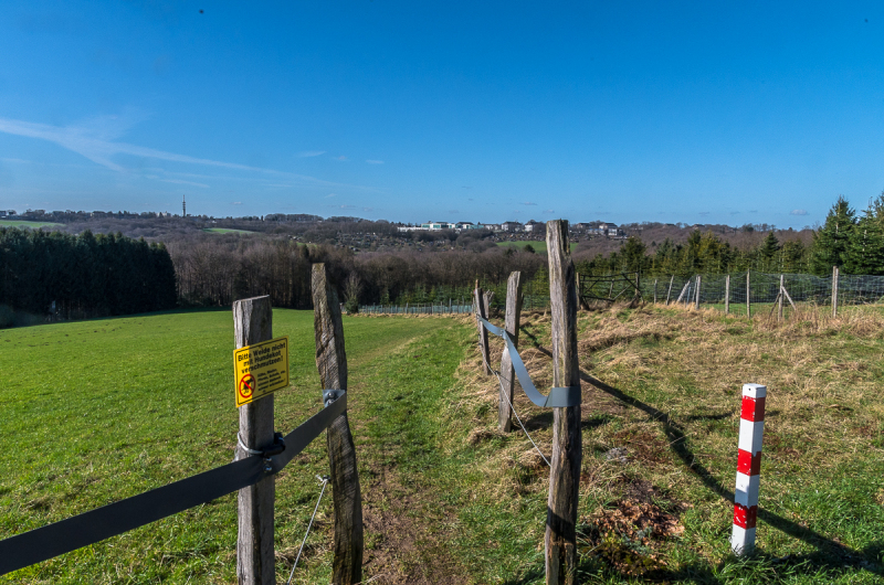 2022_02_23-13_59_57_13