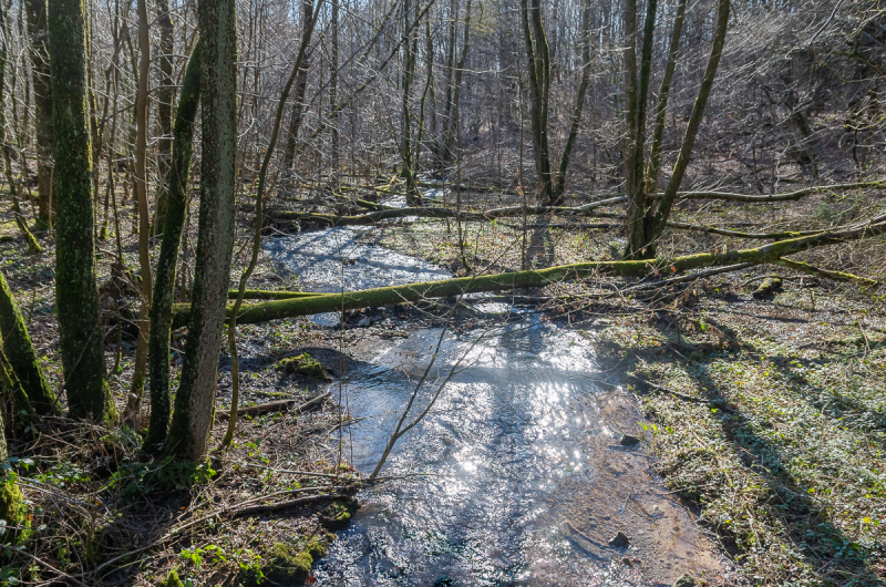 2022_02_23-14_19_43_15