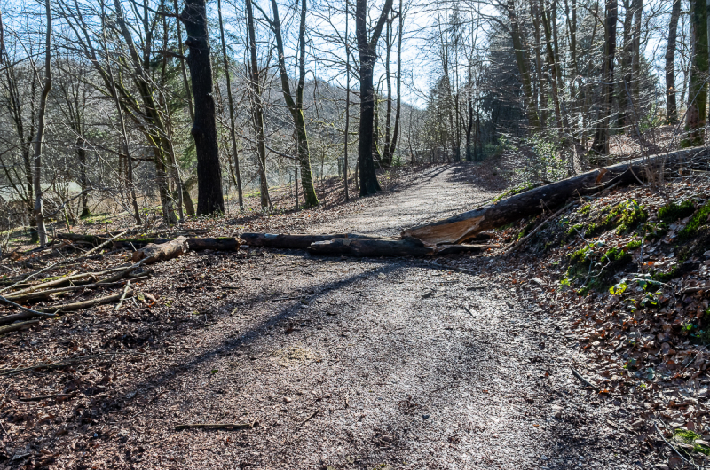 2022_02_23-14_22_55_16