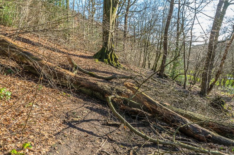 2022_02_23-15_10_08_18