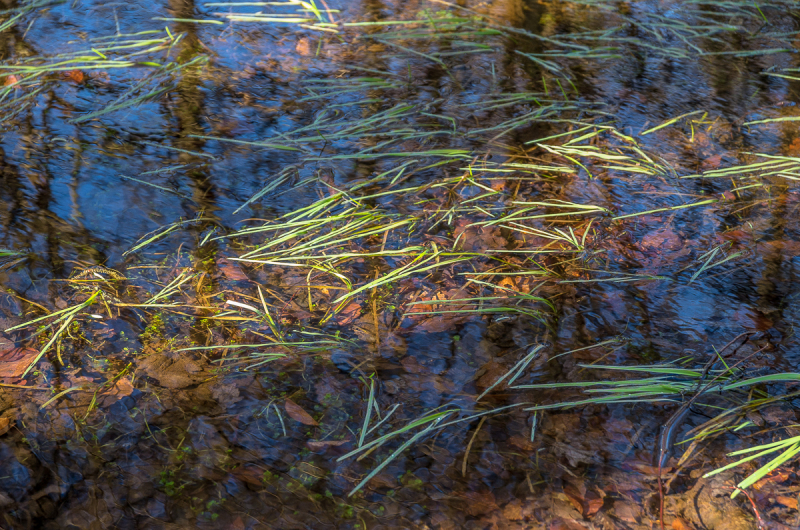 2022_02_23-15_28_13_20