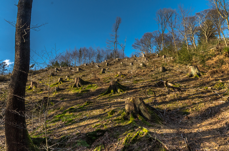 2022_02_23-15_53_52_22