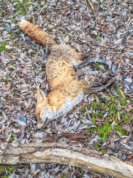 2025_12_23-13_51_16_1