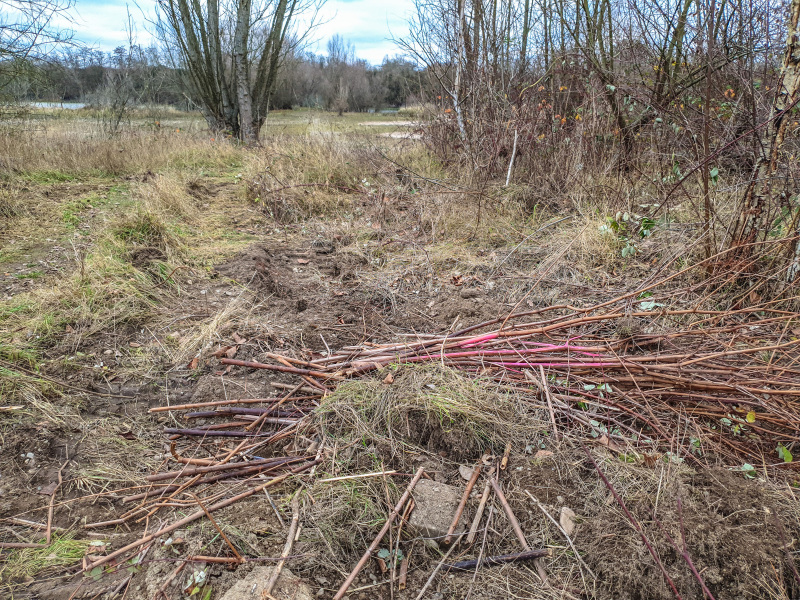 2025_12_23-14_21_34_15