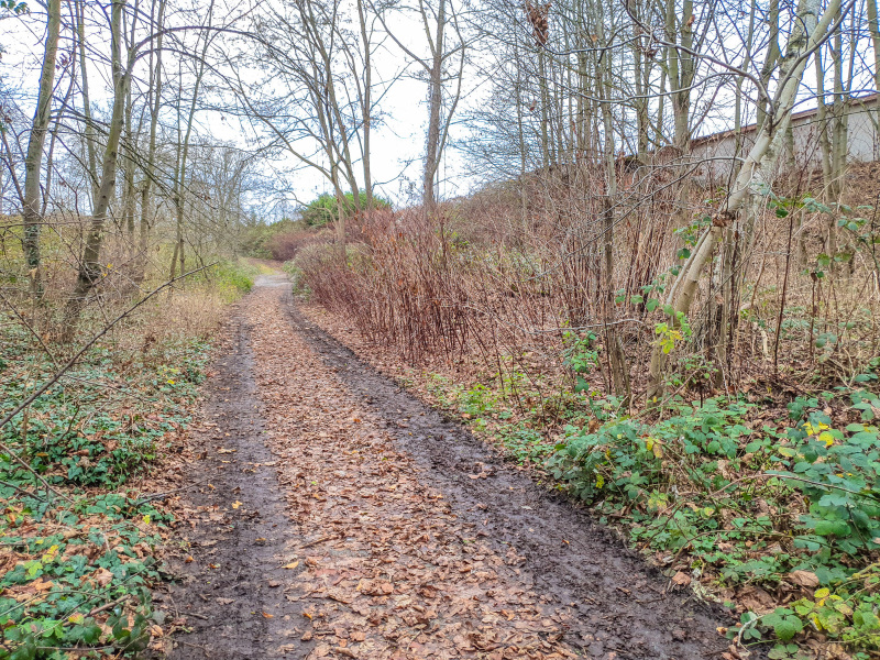 2025_12_23-14_36_48_20