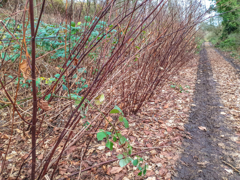 2025_12_23-14_37_34_23