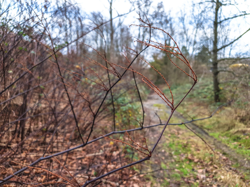 2025_12_23-14_38_50_25