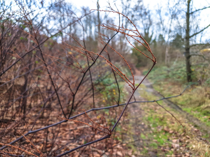 2025_12_23-14_38_54_26