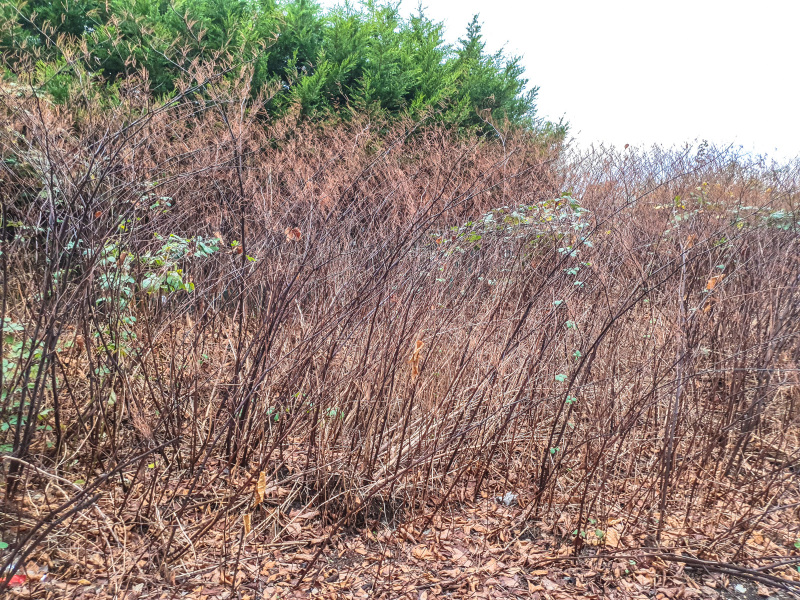 2025_12_23-14_39_11_27