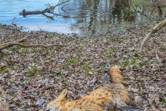 2025_12_23-13_51_32_2