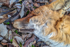 2025_12_23-13_51_46_3