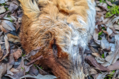 2025_12_23-13_52_02_4