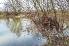 2025_12_23-13_56_18_5