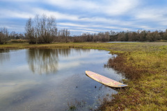 2025_12_23-14_13_46_11