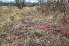 2025_12_23-14_21_34_15