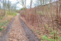 2025_12_23-14_37_00_21