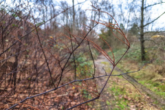 2025_12_23-14_38_50_25