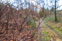 2025_12_23-14_38_54_26