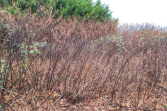 2025_12_23-14_39_11_27