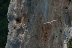 2012-07-24_12-19-50-38