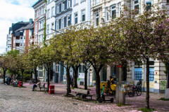 2022_05_04-13_17_46_15