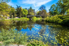 2022_05_05-13_29_49_18