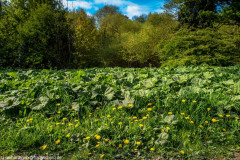 2022_05_05-16_46_38_39