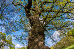 2022_05_05-16_48_00_40