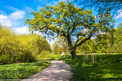 2022_05_05-16_51_09_41