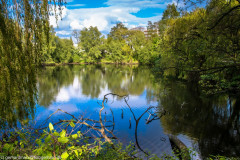 2022_05_05-17_50_38_43