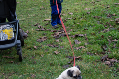 2021_12_19-14_11_51_4