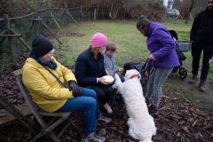 2021_12_19-14_18_35_5