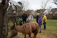 2021_12_19-14_29_15_8