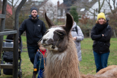 2021_12_19-14_31_12_10