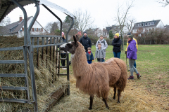 2021_12_19-14_31_17_11