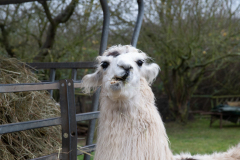 2021_12_19-14_31_36_12