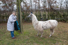 2021_12_19-14_42_10_15