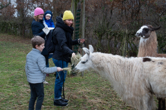 2021_12_19-14_43_32_16