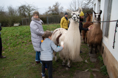 2021_12_19-15_06_25_21