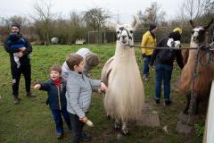 2021_12_19-15_06_39_22