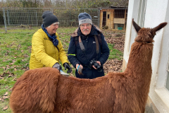 2021_12_19-15_07_11_23