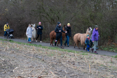 2021_12_19-15_19_40_26