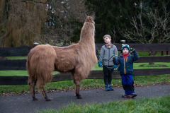 2021_12_19-15_22_16_28