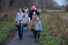 2021_12_19-15_27_27_30