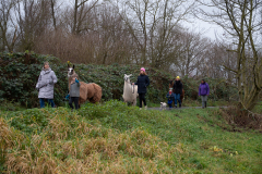 2021_12_19-15_36_13_33