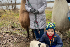 2021_12_19-15_40_11_35