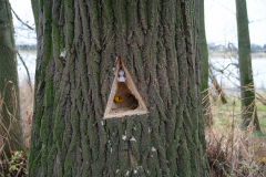 2021_12_19-15_43_07_38