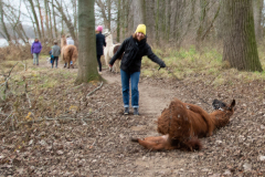 2021_12_19-15_43_35_40