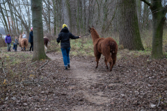 2021_12_19-15_43_39_41